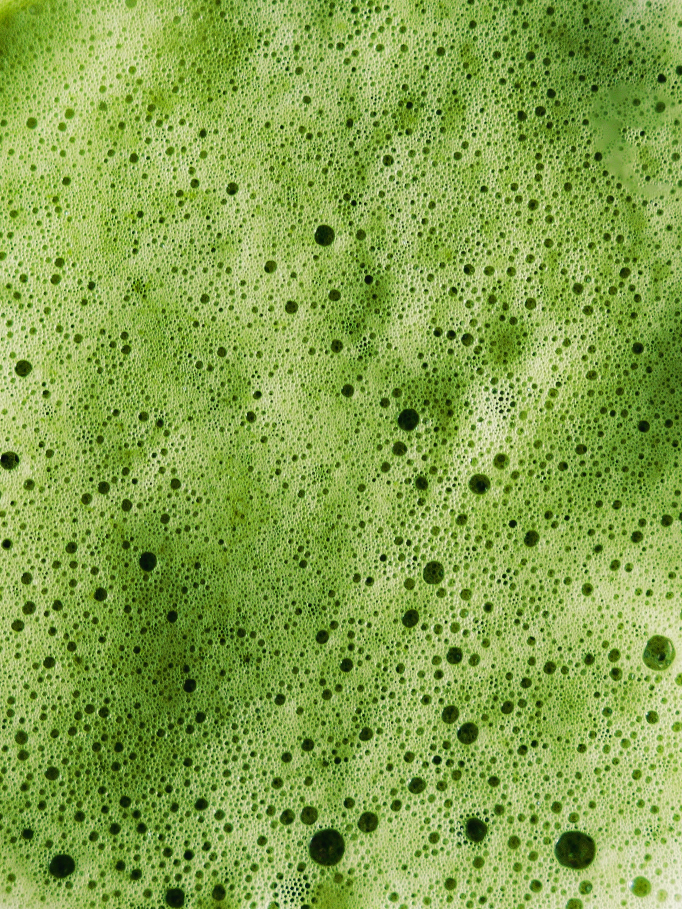 Matcha bubbles whisked matcha premium ceremonial